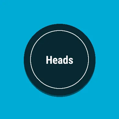 The coin landing on heads