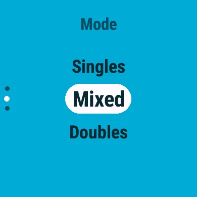 Choosing the mode: Singles, Mixed or Doubles